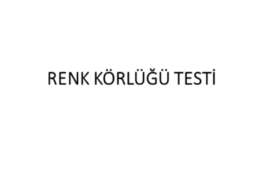 Renk Körlüğü Testi